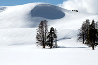 Winter Wonderland