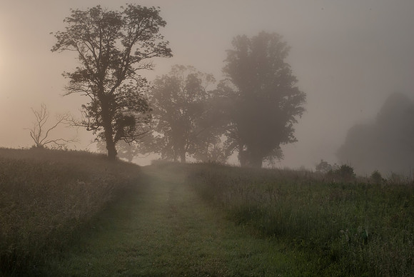 The Mist of Uncertainty